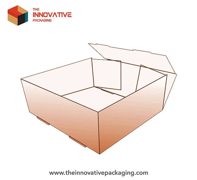 Foot Lock Tray Boxes - image 3